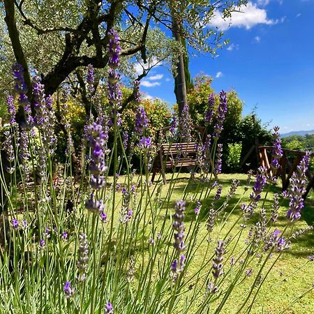 Grove Cottage: Immersed In Nature & Close To Town Citta della Pieve Ngoại thất bức ảnh