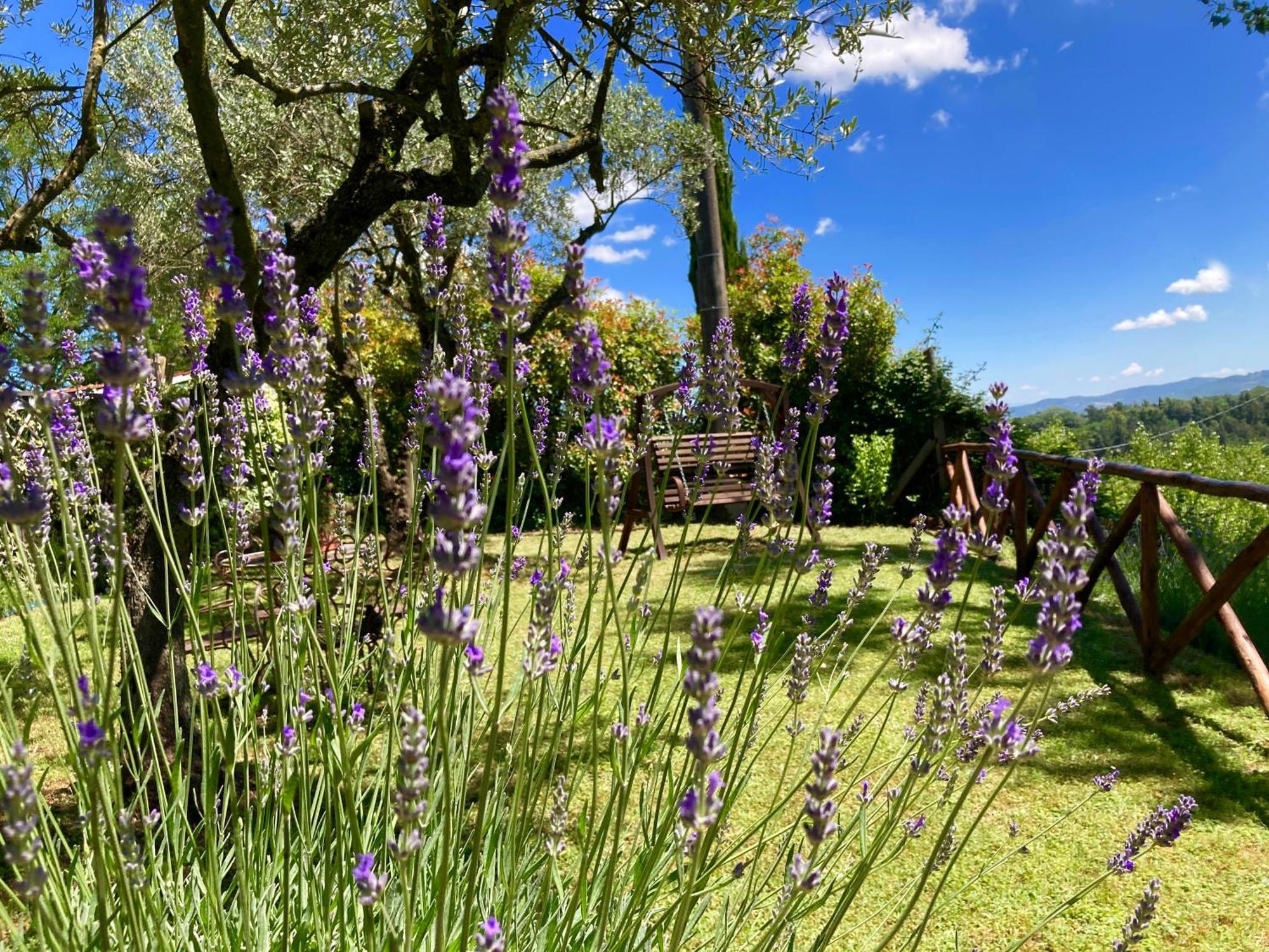 Grove Cottage: Immersed In Nature & Close To Town Citta della Pieve Ngoại thất bức ảnh